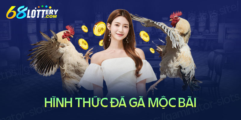 Các hình thức đá gà trực tiếp tại đấu trường Mộc Bài Các hình thức đá gà trực tiếp Mộc Bài