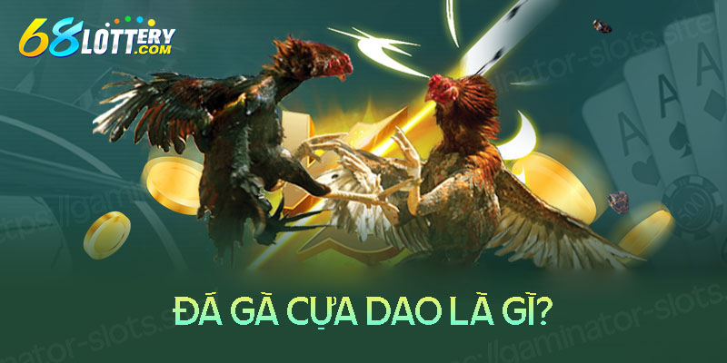 Đá gà cựa dao là gì? Đá gà cựa dao là gì?