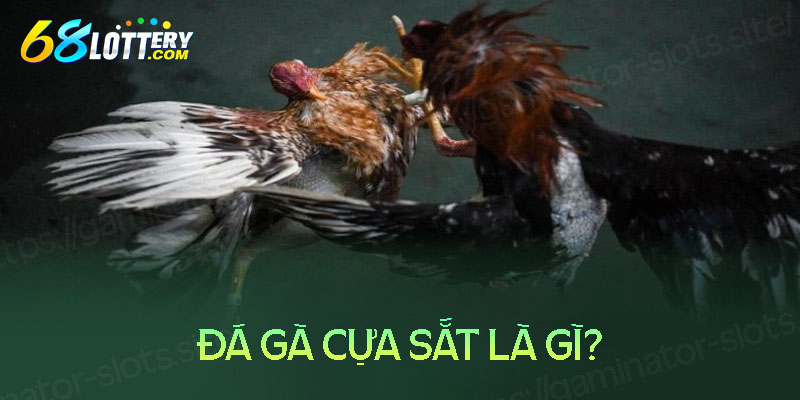 Đá gà cựa sắt là gì? Đá gà cựa sắt là gì?