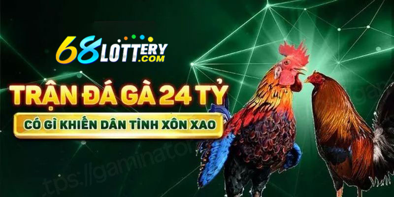 Đôi nét về trận đá gà 24 tỷ Đôi nét về trận đá gà 24 tỷ