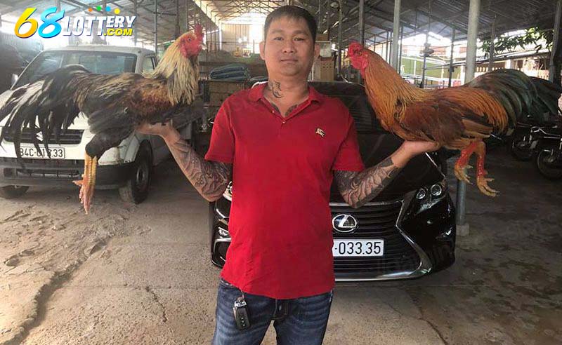 Giới thiệu sư kê trong trận đá gà 24 tỷ Giới thiệu sư kê trong trận đá gà 24 tỷ