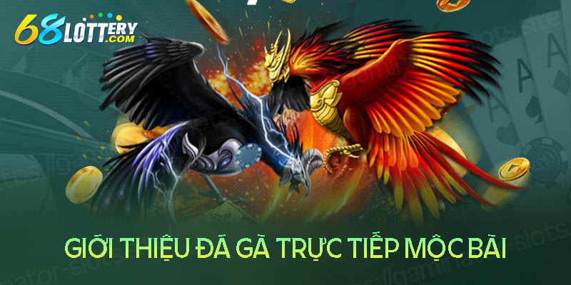 Giới thiệu về sân chơi đá gà trực tiếp mộc bài Giới thiệu về sân chơi đá gà trực tiếp mộc bài