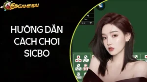 Hướng dẫn cách chơi Sicbo chi tiết dễ hiểu