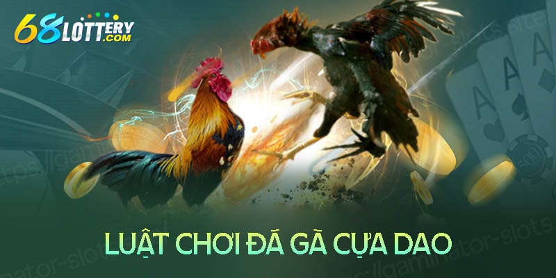 Luật chơi đá gà cựa dao cần nắm cho tân thủ Luật chơi đá gà cựa dao cần nắm cho tân thủ