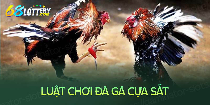 Luật chơi đá gà cựa sắt Luật chơi đá gà cựa sắt