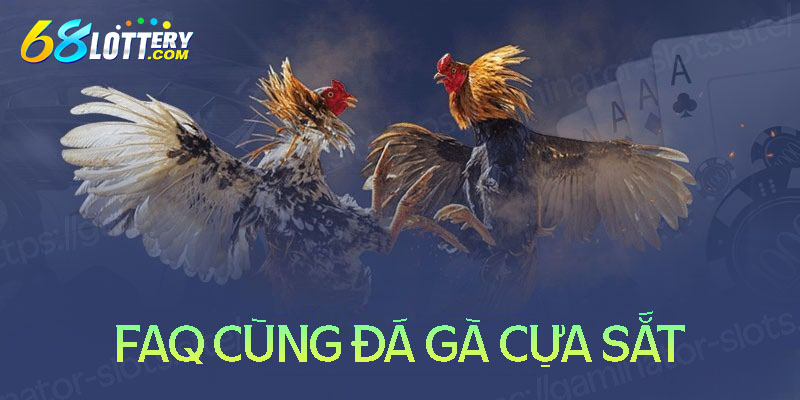 Một số câu hỏi thường gặp về đá gà Việt Nam Một số câu hỏi thường gặp về đá gà Việt Nam