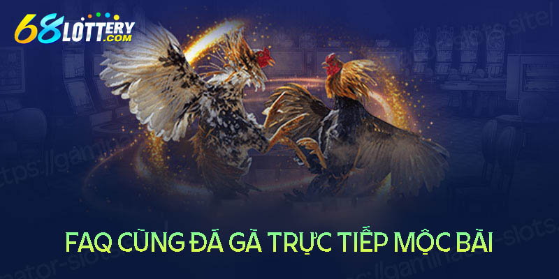 Những câu hỏi liên quan đến đá gà trực tiếp mộc bài Những câu hỏi liên quan đến đá gà trực tiếp mộc bài
